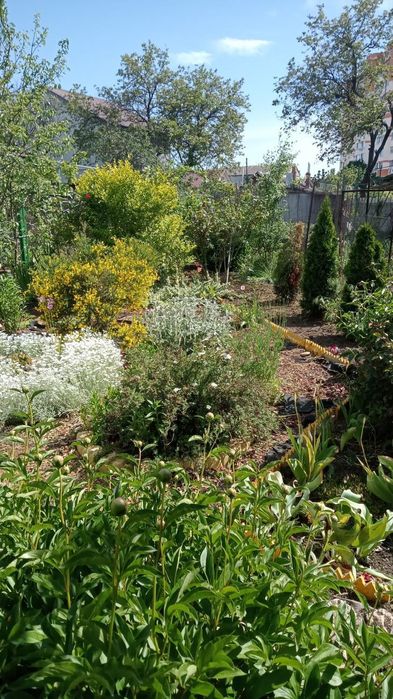 Будинок за адресою вул. Танкістів (площа 40 м²) - Atlanta.ua - фото 4