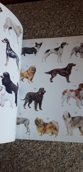 Livro Caderneta Les Chiens
