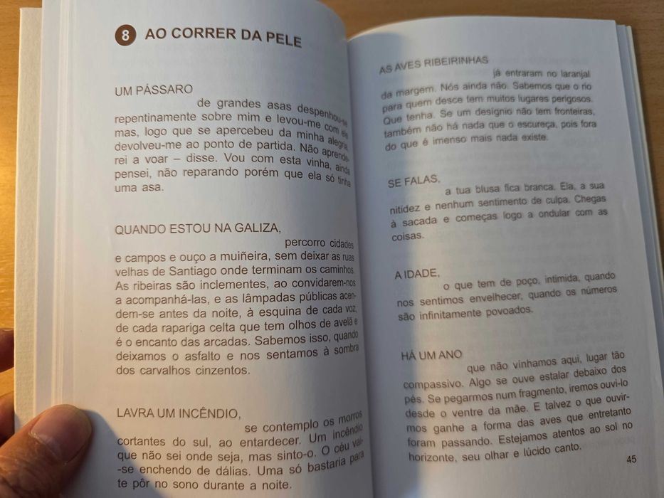Livro "A Tentação de Santo Antão" de António Cabral