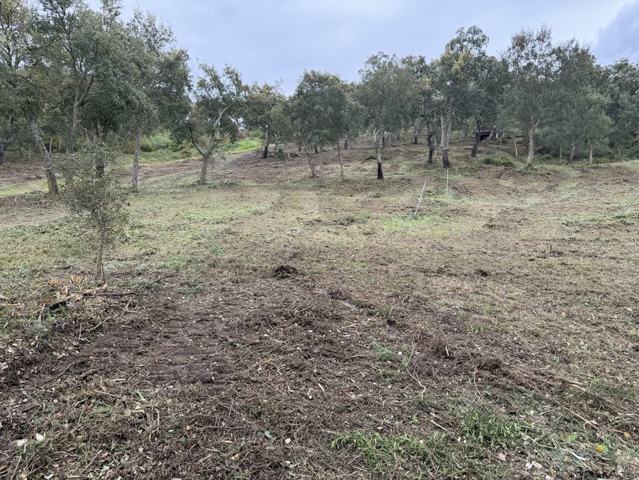 Limpeza de terrenos, corta mato, abate de arvores