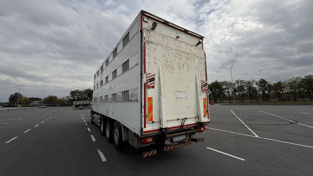Volvo FH 540 скотовоз