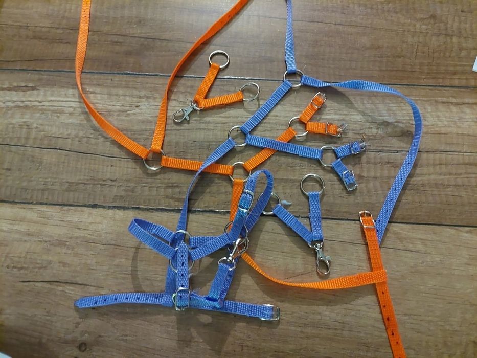 Box niespodzianka dla hobby horse