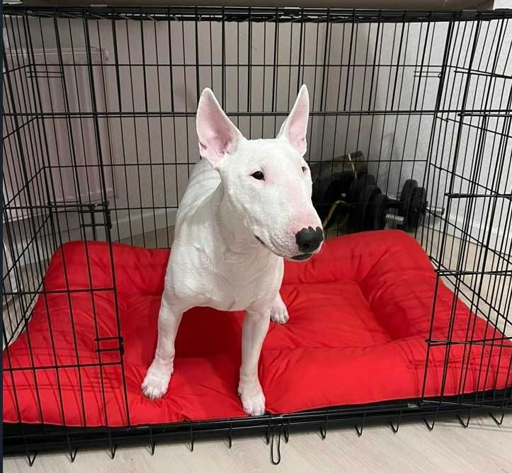 Клітка для собак в квартиру розбірна металева‼️Вольер для животных‼️