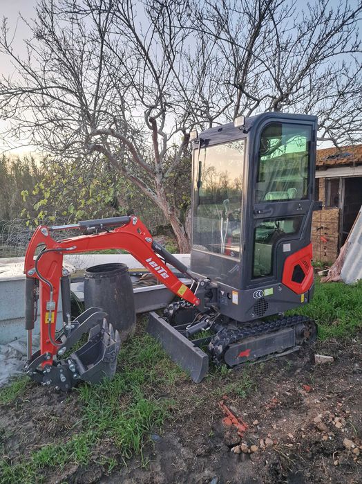 Serviço de Mini Giratória Escavadora