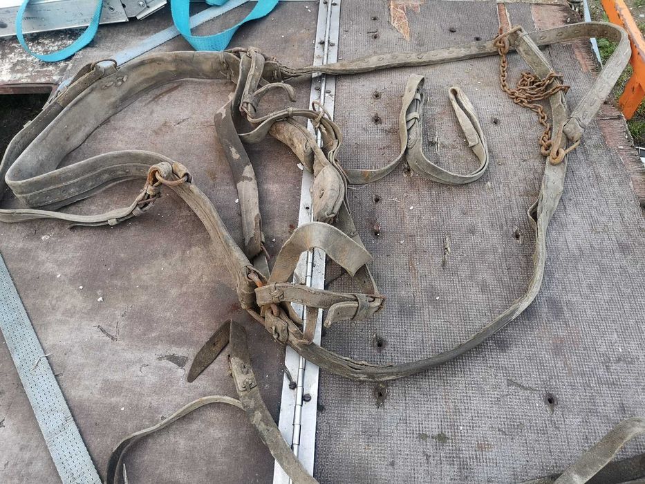 Uprząż dla konia pociagowego.