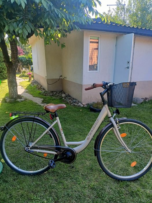 Rower miejski SENATOR