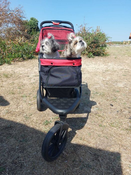 Carrinho para cães