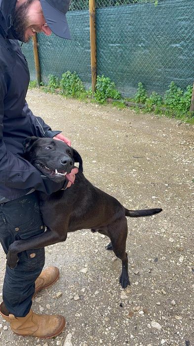 Carvao procura família maravilhosa