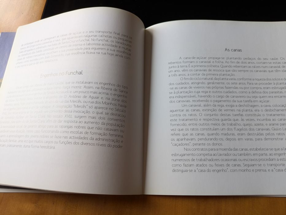 O Bolo de Mel de João José Abreu de Sousa