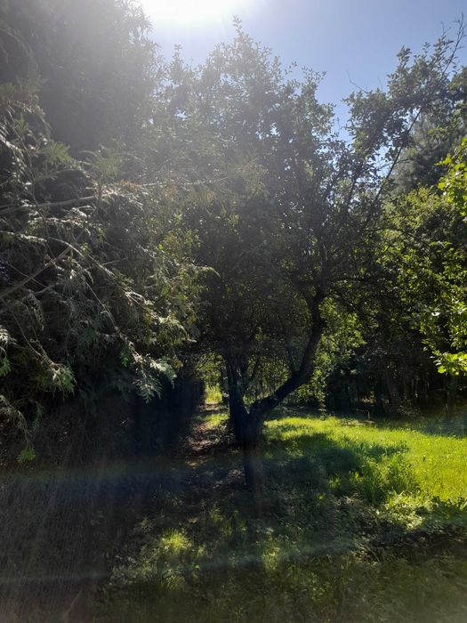 Działka budowlana w mieście, a jak na wsi