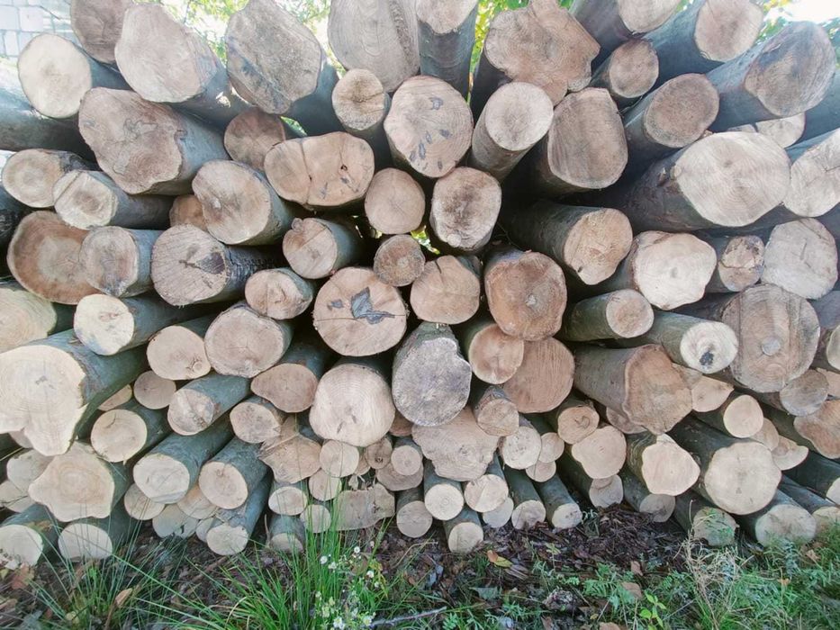 Drewno opałowe rąbane Buk, Brzoza, Sosna