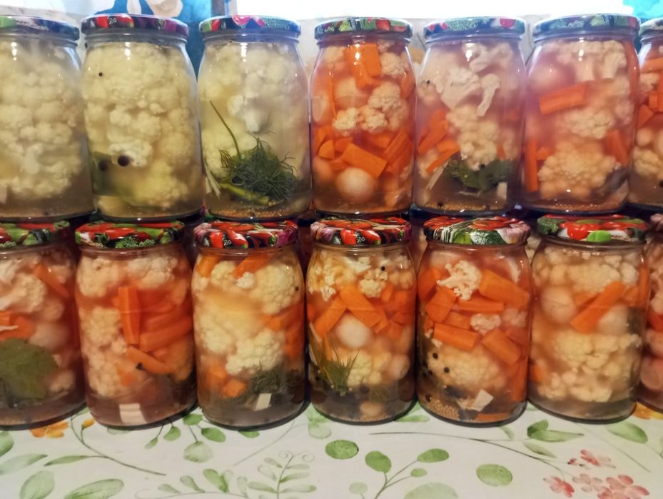 Naturalnie Kiszone rzodkiewki, Domowe Kiszonki 2025