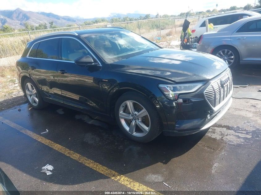 Розборка розбірка разборка Audi Etron етрон  двері крило капот бампер цапфа рейка підрамнік  блок батарея панорама четверть монітор торпеда діск