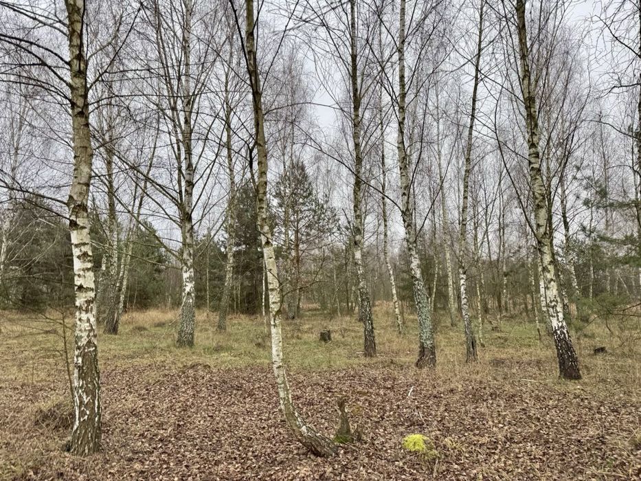 Земельна ділянка 6,9 Га!!! Калинівка !