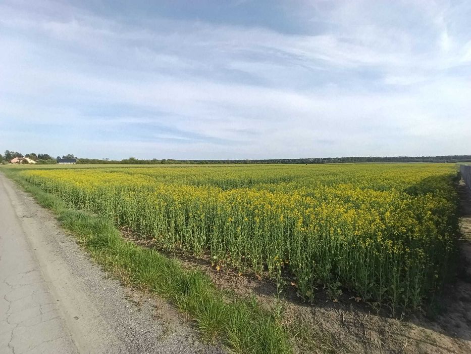 Działki budowlane Chorzenice, ul. Nowa, gm. Kłomnice