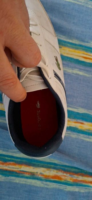 Buty Lacoste białe