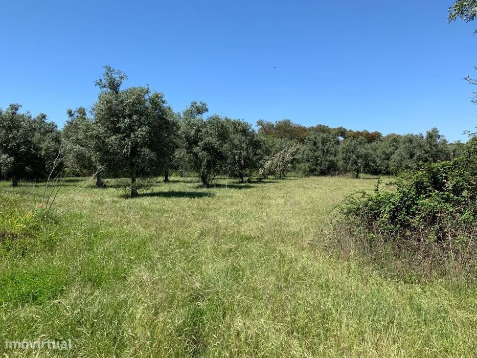 Quintinha, para venda, Ourique - Ourique