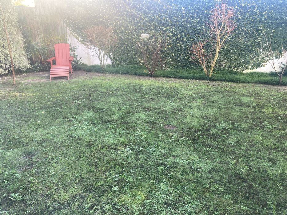 arrendo apartamento Porto