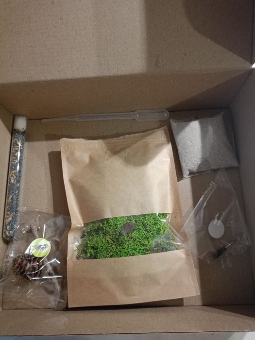 Продам Муравьиную ферму,в идеальном состоянии.