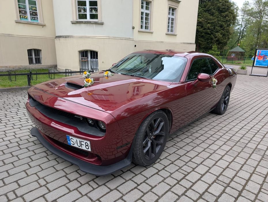 Wynajem, Dodge challenger 5.7 hemi do ślubu, sesje ,kierowca