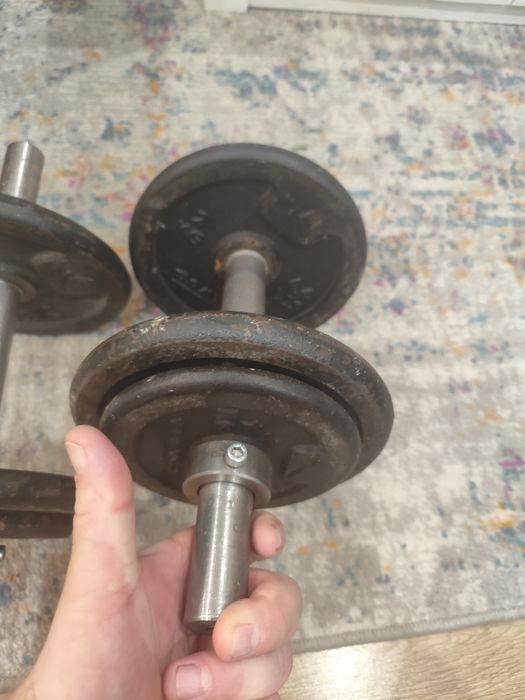 Hantle 12 kg,2 sztuki