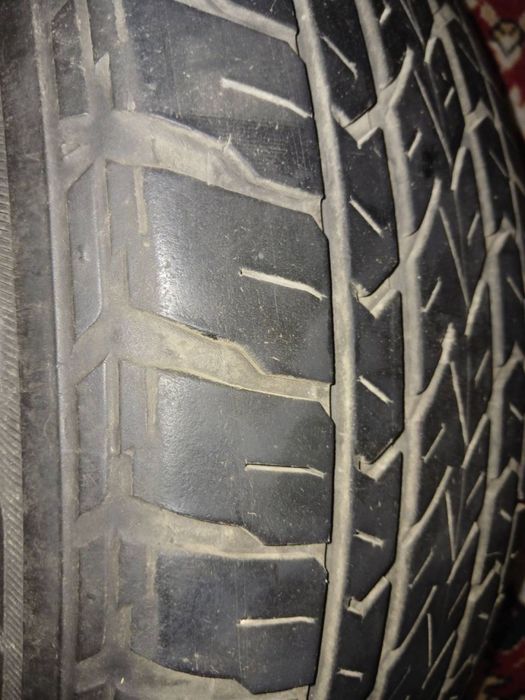 Резина (шина, покришка) Lassa Competus 215/65 r16 98h
