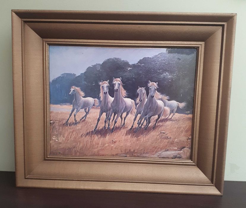 OBRAZ konie w galopie