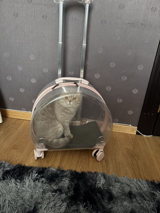 Перевозка ,переноска для кота