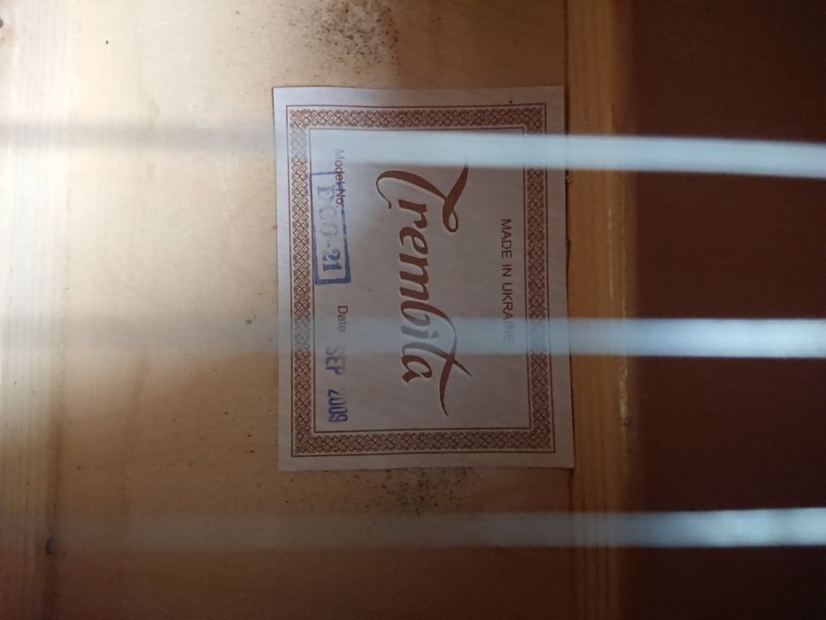 Гітара з чохлом, ще одна є в моїх оголошеннях