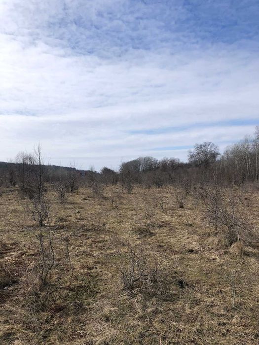 С.Ходосівка, вул.Садова, продаж ділянки 12 сот.