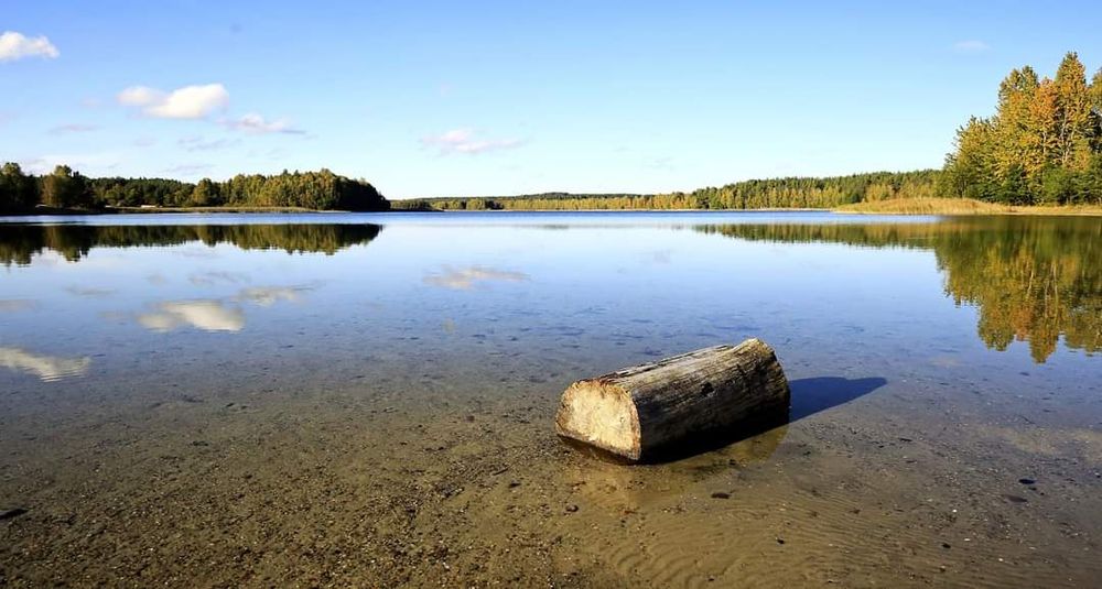 DOMEK 16os. KASZUBY ! SAUNA /BALIA z jacuzzi! Basen