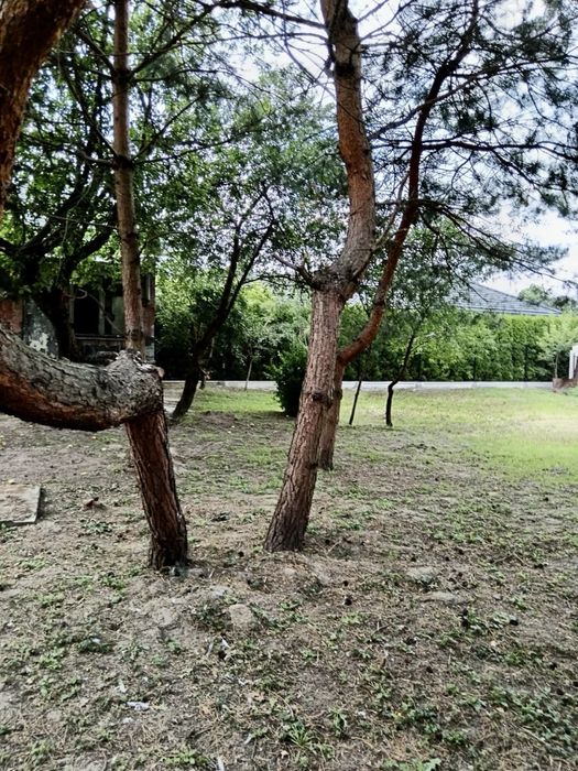 Sprzedam dom do remontu