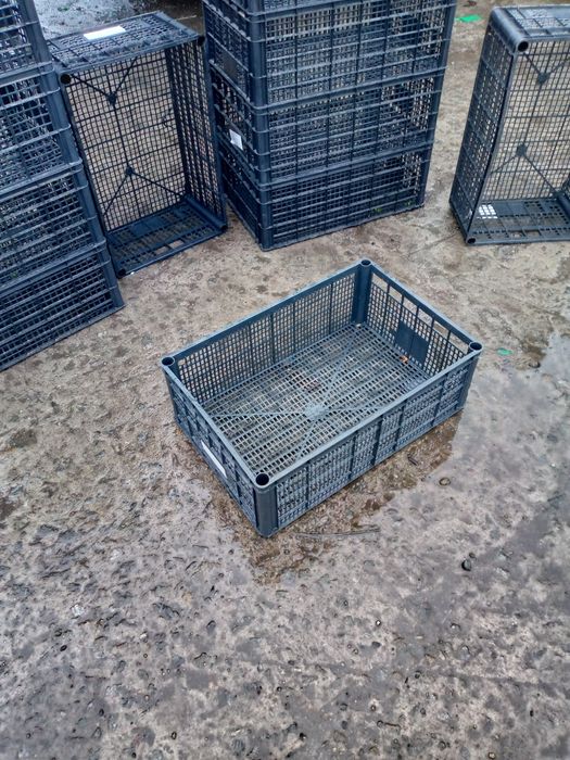 контейнер для перевозки цыплят