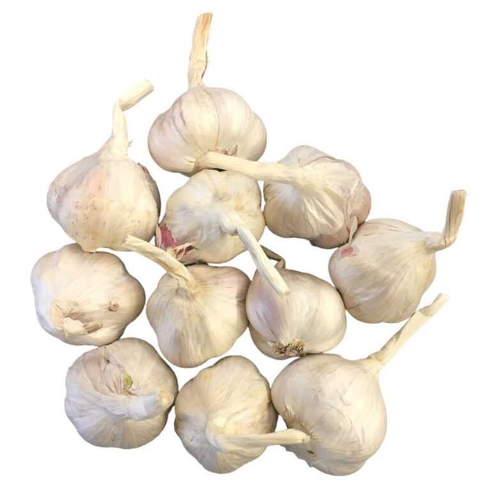 Czosnek różne rodzaje i wielkości