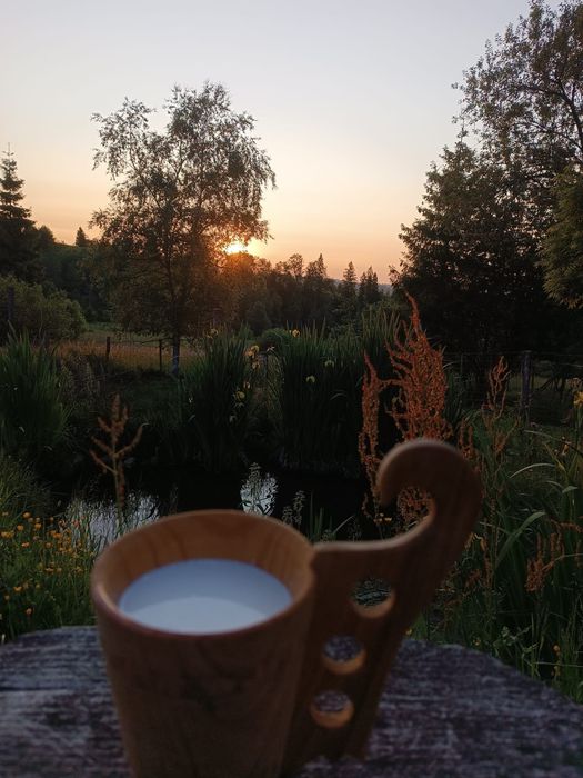 Mleko kozie sprzedam