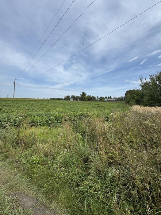 Продаж будинку  по вул. Польова в с.Заболоття 60 сот. землі