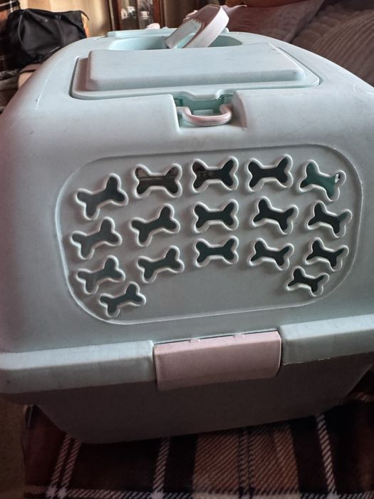 Transportadora de gato ou cão de porte médio (oferta de um pequeno)