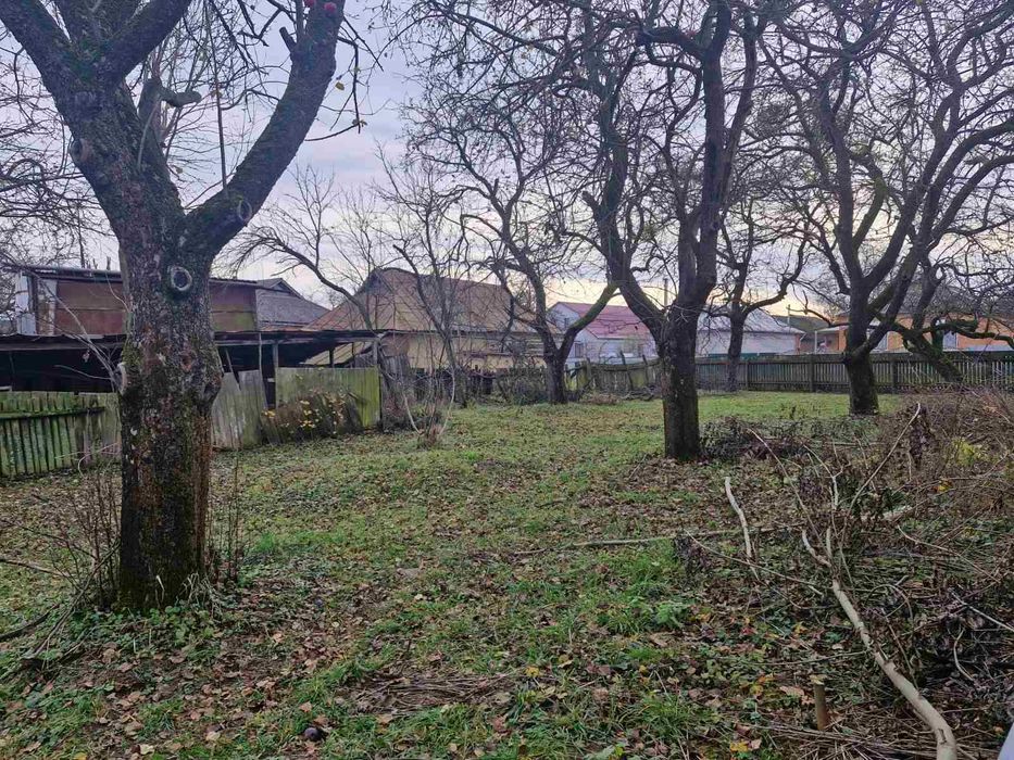 Продаж будинку у селі Дашківці