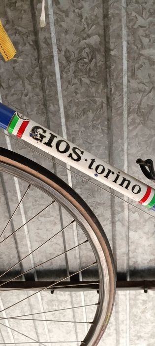 Rower Gios Torino profesjonalne.