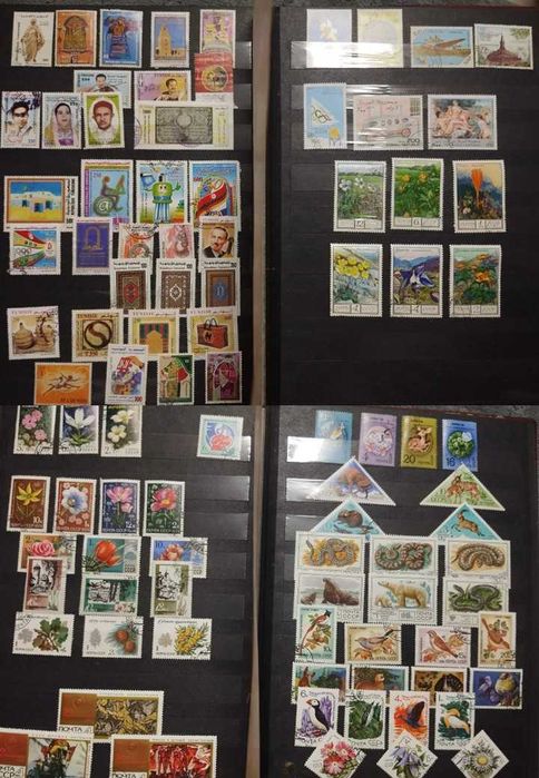 duży klaser ze znaczkami