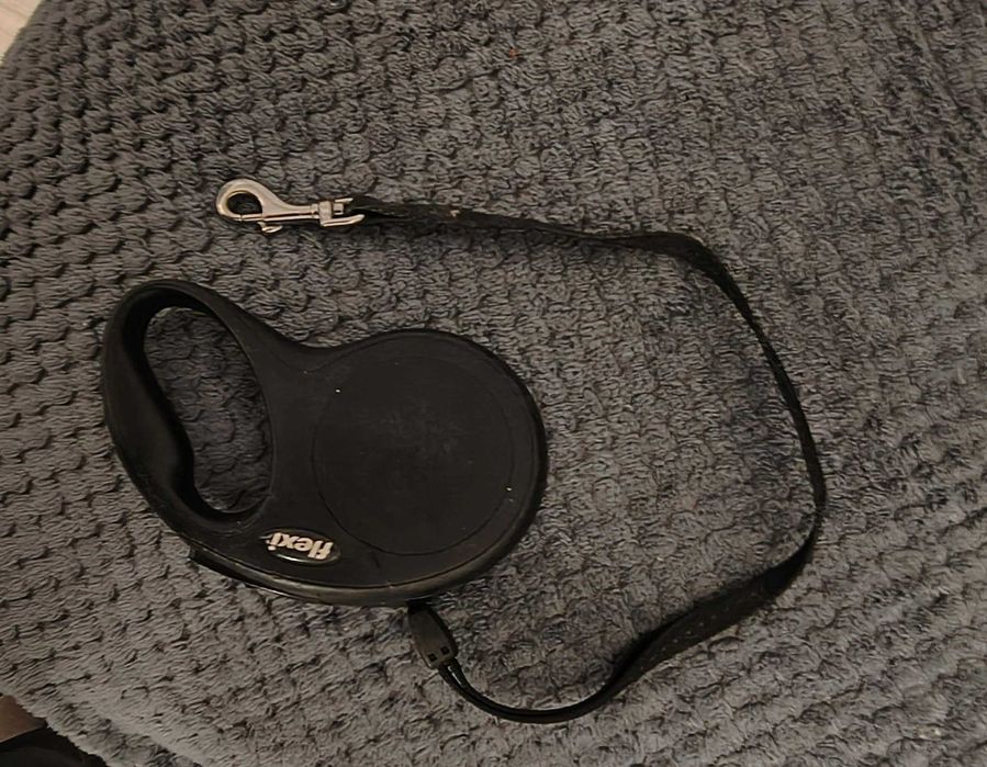 smycz Flexi dla małego psa