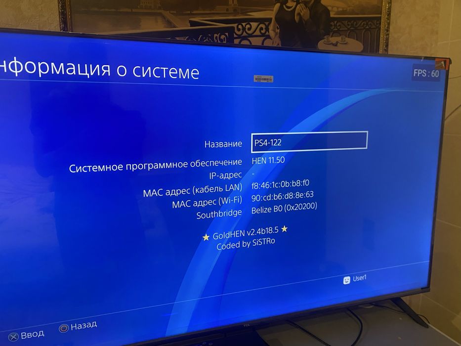 Sony Playstation 4 pro 1tb Gold Hen 10.50