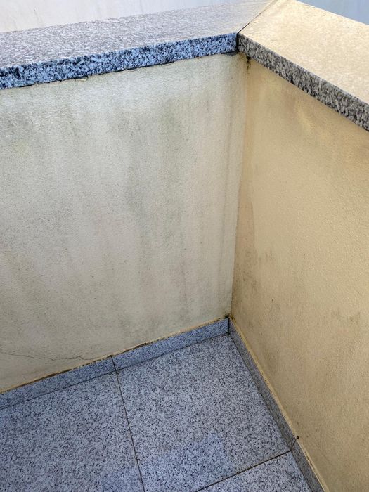 Fazemos limpezas interior e exterior/ furadouro etc