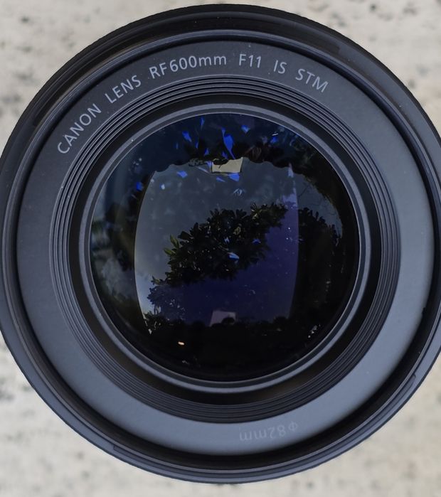 Canon RF 600mm F11 imaculada