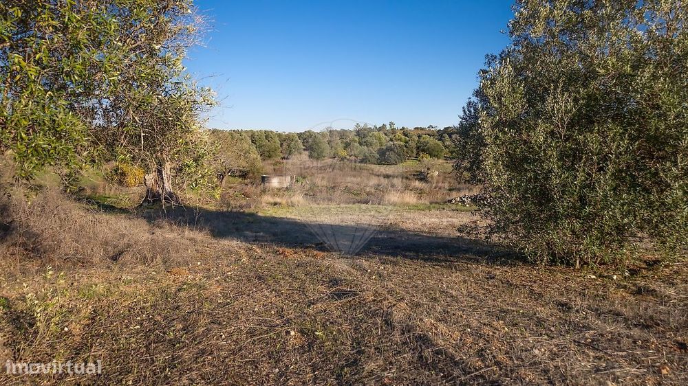 Terreno  para venda