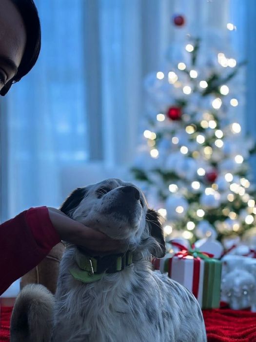 Bobby czeka właśnie na Ciebie!