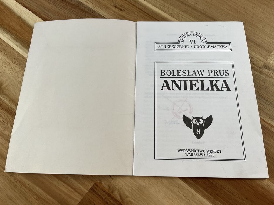 Anielka Bolesław Prus Streszczenie Problematyka