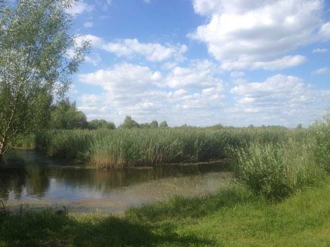 Продається дом в Садовом Товаристві 380955336297