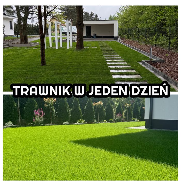 Zakładanie trawnika Zakładanie ogrodu Równanie Nawadnianie Wycinka