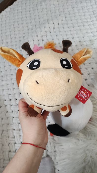 Gang pluszaki Biedronka Lidl